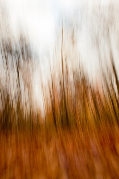 20121028-JAD-053yes