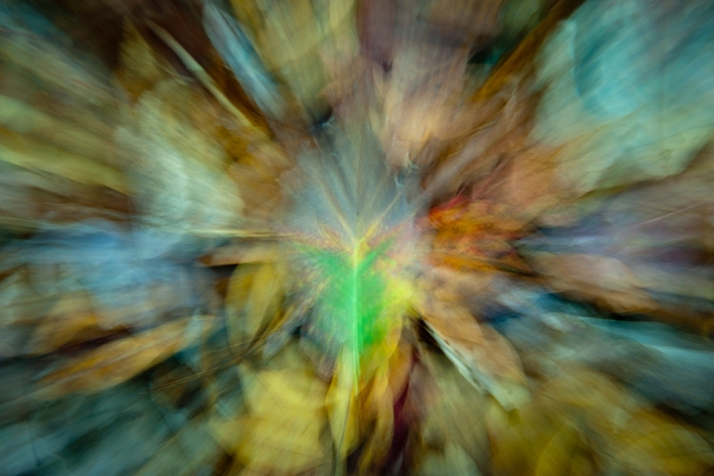 20121028-JAD-067-3