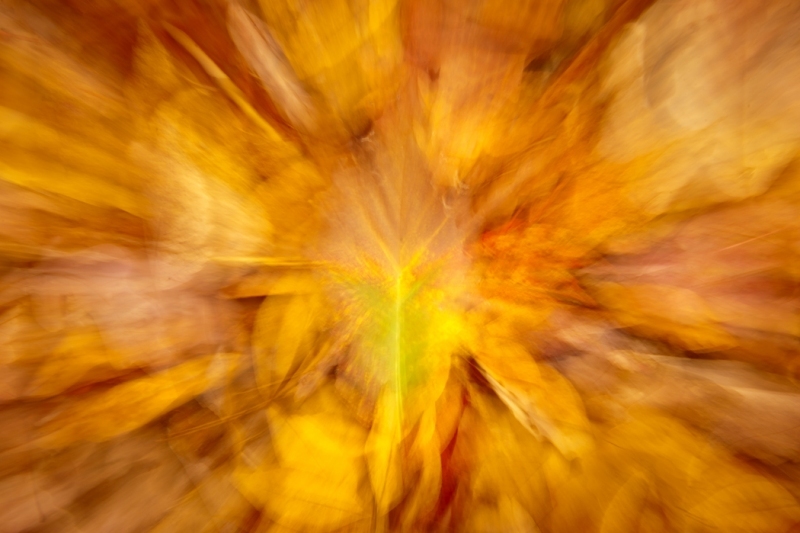20121028-JAD-067