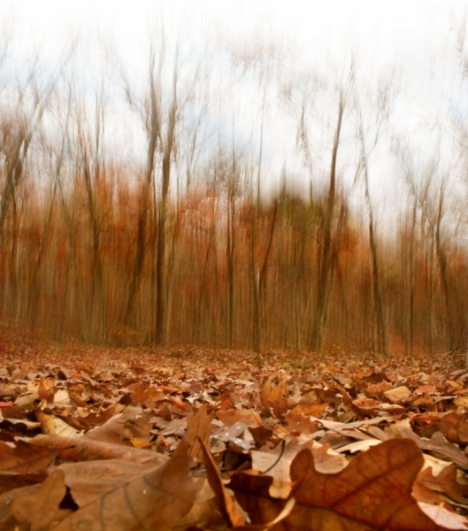 20121028-JAD-073-comp-2