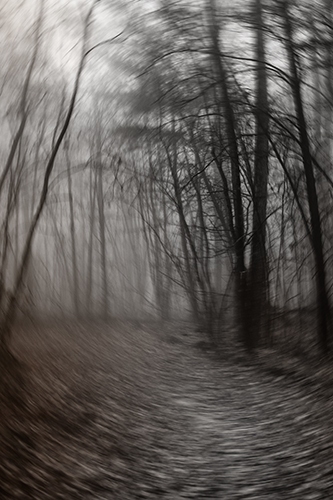20121127-JAD-0632-web