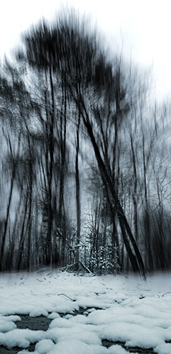 20130303-iii-JAD-004-272-comp-2-web