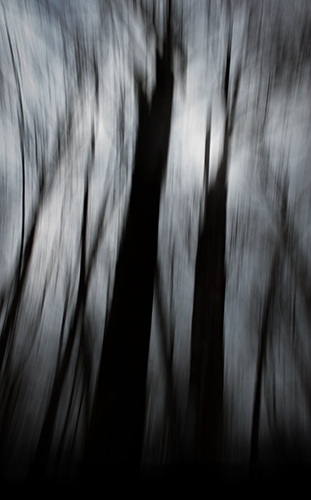 20130303-iii-JAD-004-98web