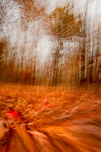 20121028-JAD-047web