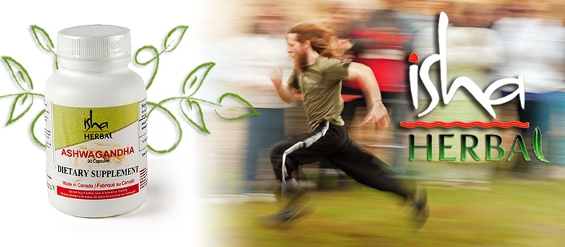 IS-Web-Banner-02-00-web
