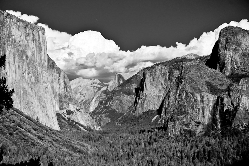 20101011-JONGELA-094-2